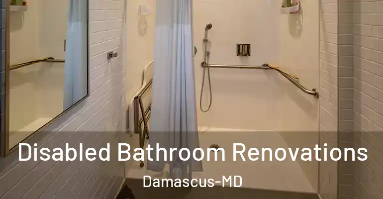 inner Bathroom imggen Disabled Bathroom Renovations Damascus-MD
