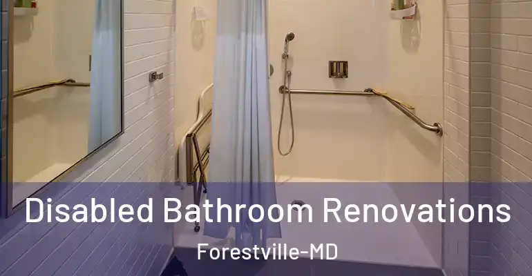 inner Bathroom imggen Disabled Bathroom Renovations Forestville-MD