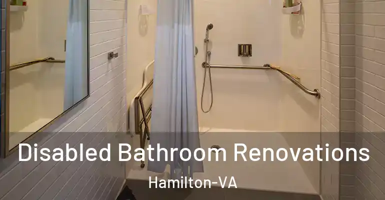 inner Bathroom imggen Disabled Bathroom Renovations Hamilton-VA