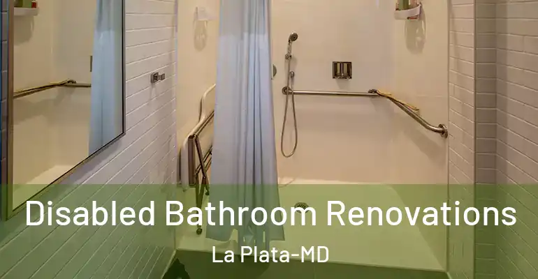 inner Bathroom imggen Disabled Bathroom Renovations La Plata-MD
