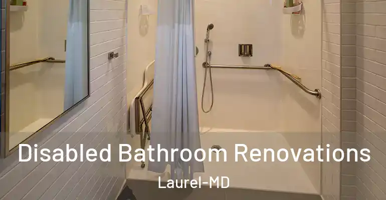 inner Bathroom imggen Disabled Bathroom Renovations Laurel-MD