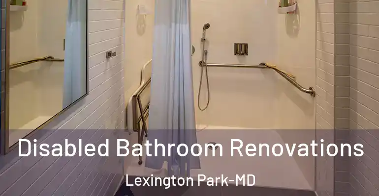 inner Bathroom imggen Disabled Bathroom Renovations Lexington Park-MD