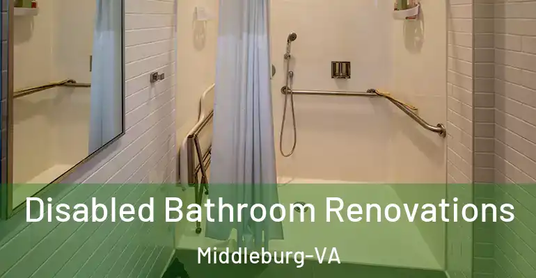 inner Bathroom imggen Disabled Bathroom Renovations Middleburg-VA
