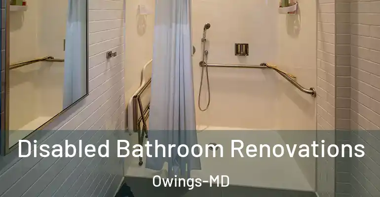 inner Bathroom imggen Disabled Bathroom Renovations Owings-MD
