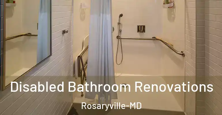 inner Bathroom imggen Disabled Bathroom Renovations Rosaryville-MD