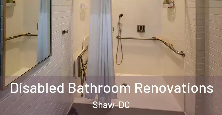 inner Bathroom imggen Disabled Bathroom Renovations Shaw-DC