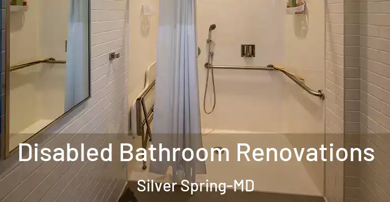 inner Bathroom imggen Disabled Bathroom Renovations Silver Spring-MD