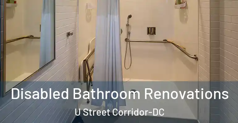 inner Bathroom imggen Disabled Bathroom Renovations U Street Corridor-DC