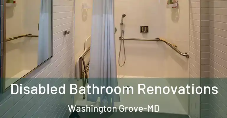 inner Bathroom imggen Disabled Bathroom Renovations Washington Grove-MD