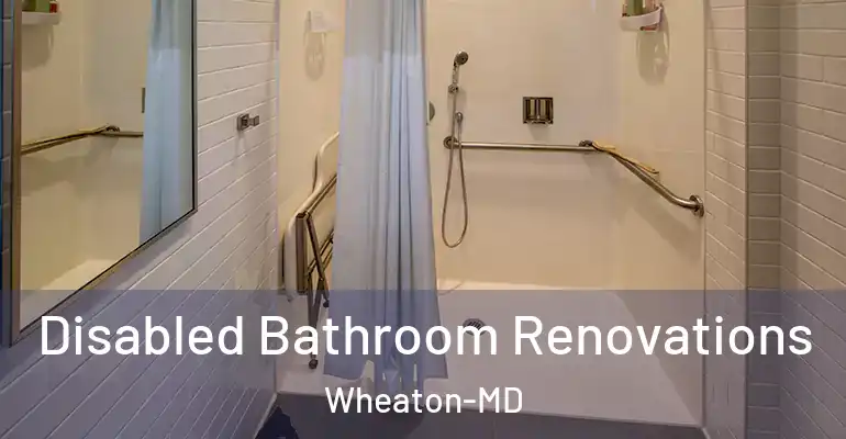 inner Bathroom imggen Disabled Bathroom Renovations Wheaton-MD
