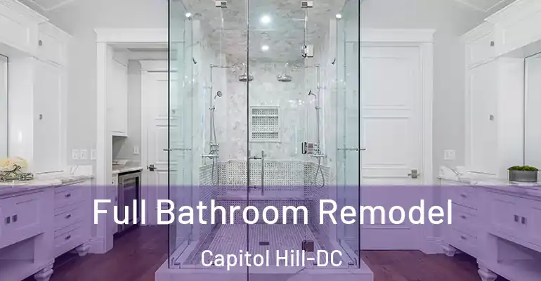 inner Bathroom imggen Full Bathroom Remodel Capitol Hill-DC