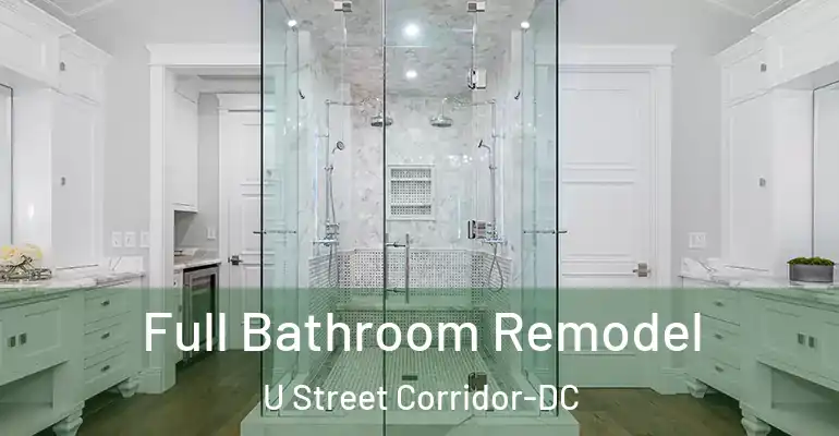 inner Bathroom imggen Full Bathroom Remodel U Street Corridor-DC