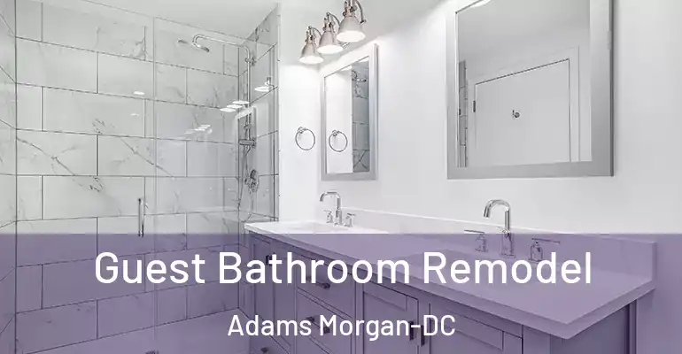 inner Bathroom imggen Guest Bathroom Remodel Adams Morgan-DC