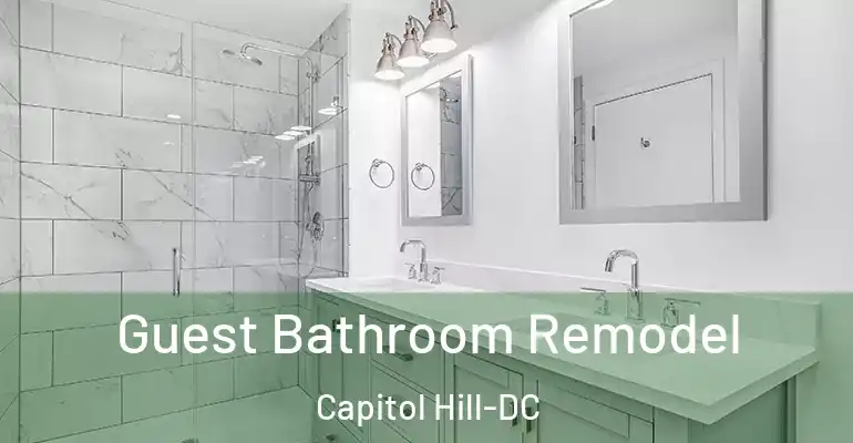 inner Bathroom imggen Guest Bathroom Remodel Capitol Hill-DC
