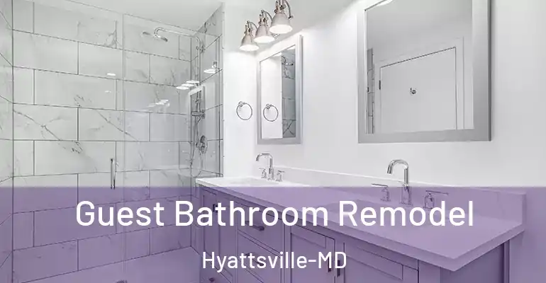 inner Bathroom imggen Guest Bathroom Remodel Hyattsville-MD