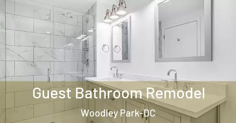 inner Bathroom imggen Guest Bathroom Remodel Woodley Park-DC