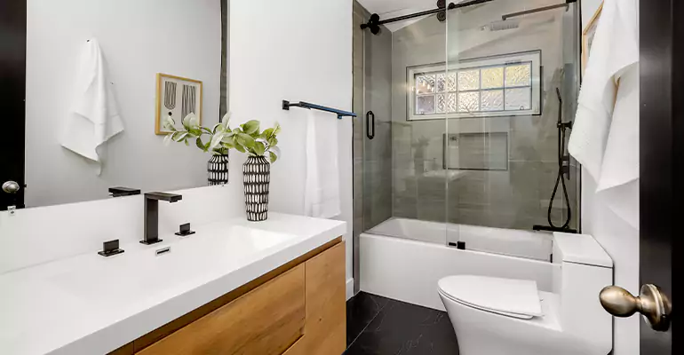 Tub to Shower Renovation in Washington
