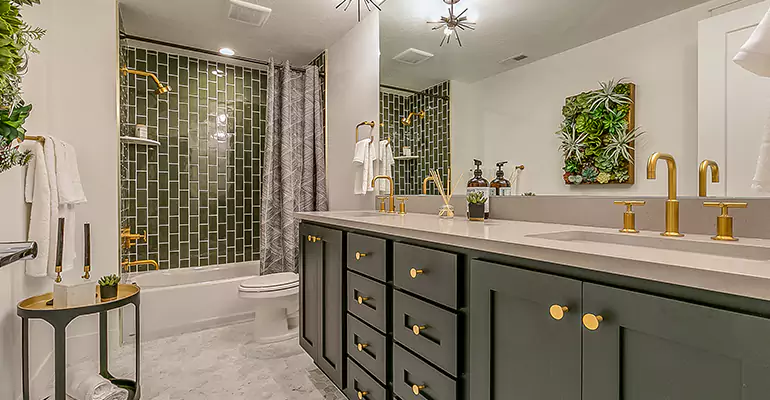 Budget Shower Remodel in Washington, DC