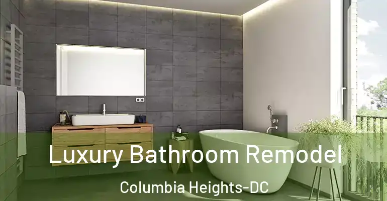 inner Bathroom imggen Luxury Bathroom Remodel Columbia Heights-DC