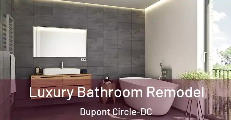 inner Bathroom imggen Luxury Bathroom Remodel Dupont Circle-DC