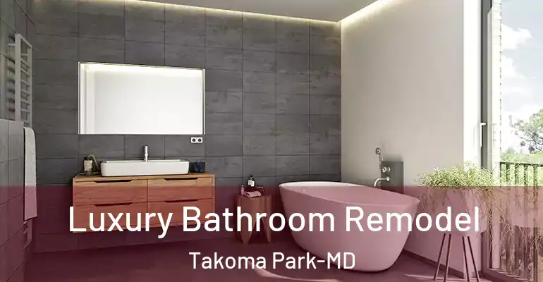 inner Bathroom imggen Luxury Bathroom Remodel Takoma Park-MD