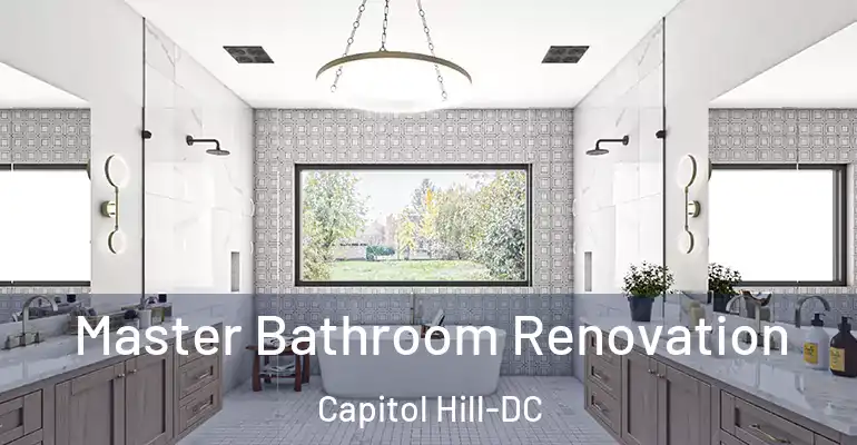 inner Bathroom imggen Master Bathroom Renovation Capitol Hill-DC