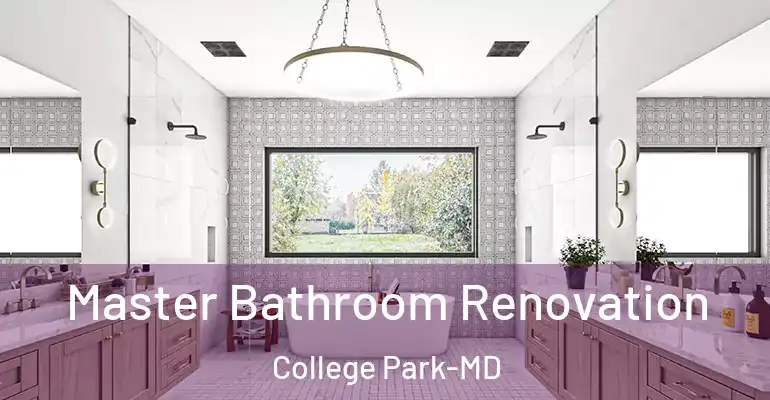 inner Bathroom imggen Master Bathroom Renovation College Park-MD