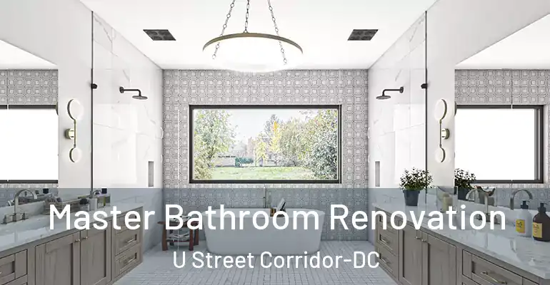 inner Bathroom imggen Master Bathroom Renovation U Street Corridor-DC