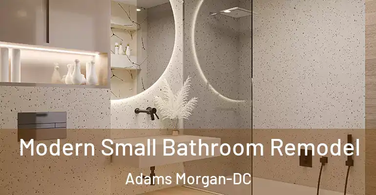 inner Bathroom imggen Modern Small Bathroom Remodel Adams Morgan-DC