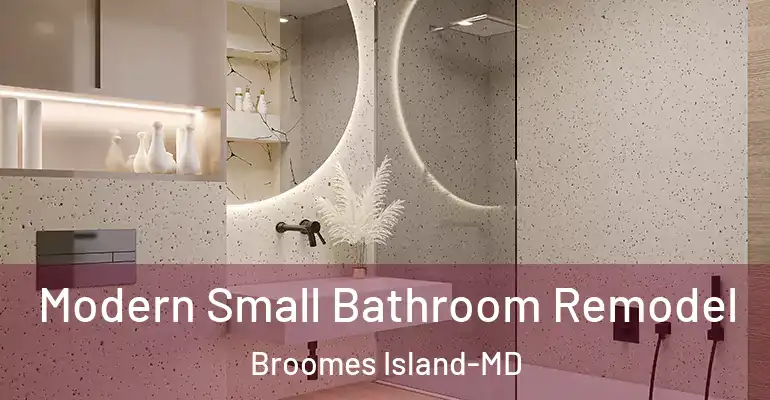 inner Bathroom imggen Modern Small Bathroom Remodel Broomes Island-MD