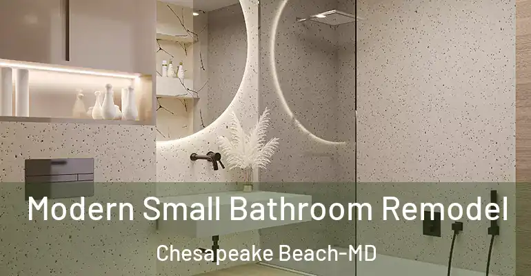 inner Bathroom imggen Modern Small Bathroom Remodel Chesapeake Beach-MD