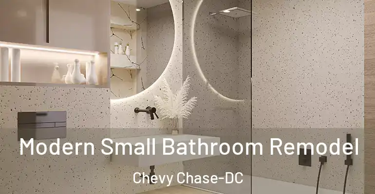inner Bathroom imggen Modern Small Bathroom Remodel Chevy Chase-DC