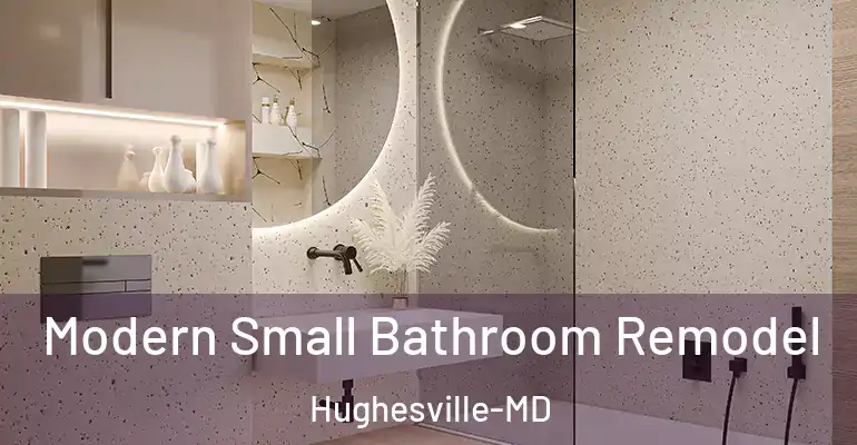 inner Bathroom imggen Modern Small Bathroom Remodel Hughesville-MD