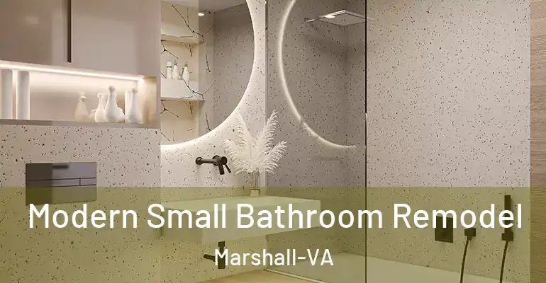 inner Bathroom imggen Modern Small Bathroom Remodel Marshall-VA