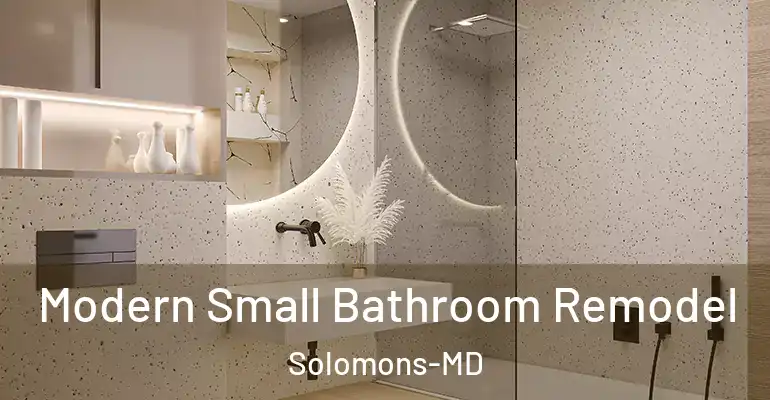 inner Bathroom imggen Modern Small Bathroom Remodel Solomons-MD