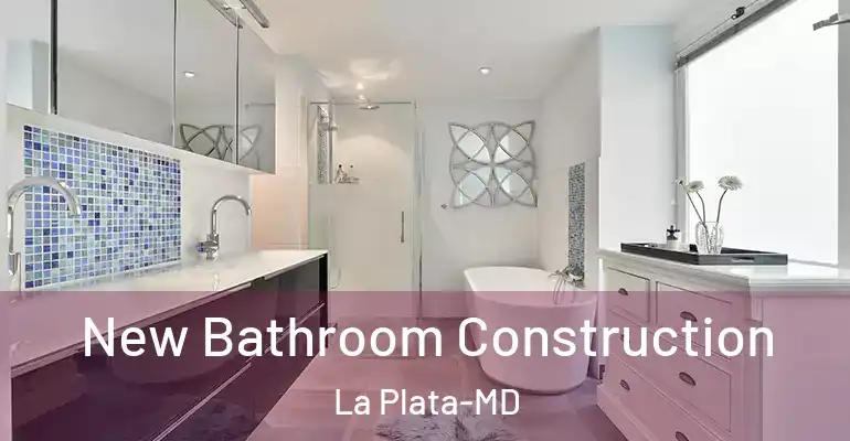 inner Bathroom imggen New Bathroom Construction La Plata-MD