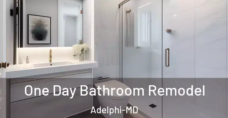 inner Bathroom imggen One Day Bathroom Remodel Adelphi-MD