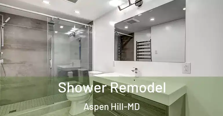 inner Bathroom imggen Shower Remodel Aspen Hill-MD