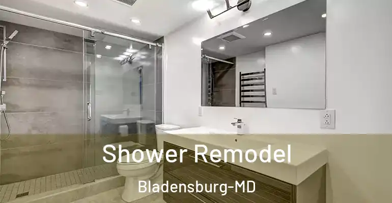 inner Bathroom imggen Shower Remodel Bladensburg-MD