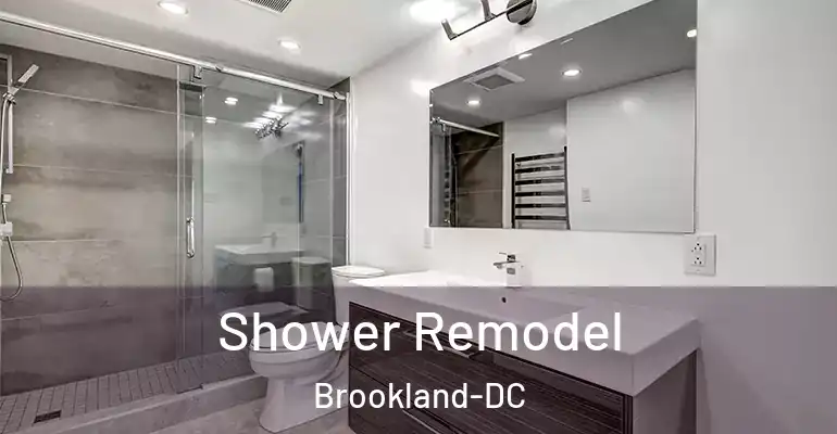 inner Bathroom imggen Shower Remodel Brookland-DC