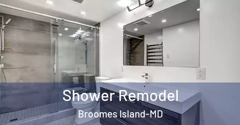 inner Bathroom imggen Shower Remodel Broomes Island-MD