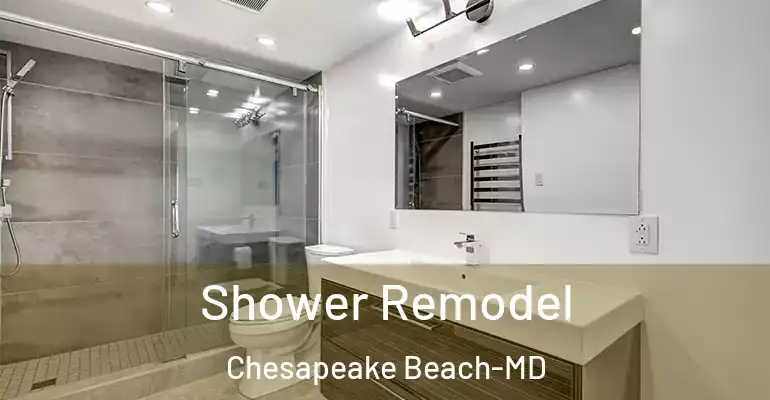 inner Bathroom imggen Shower Remodel Chesapeake Beach-MD