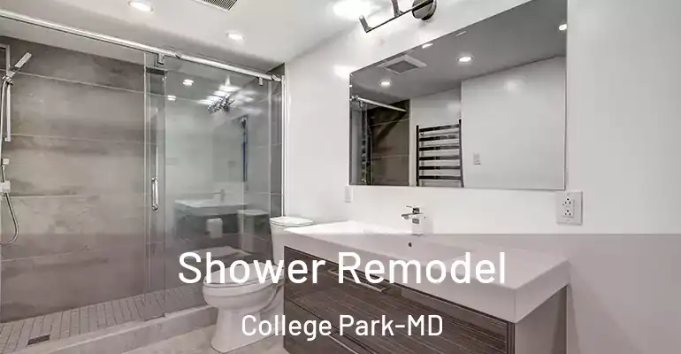 inner Bathroom imggen Shower Remodel College Park-MD