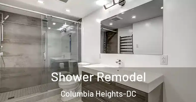 inner Bathroom imggen Shower Remodel Columbia Heights-DC
