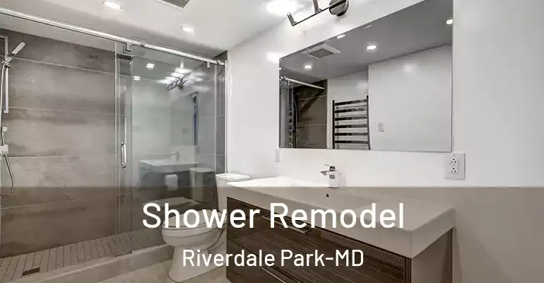 inner Bathroom imggen Shower Remodel Riverdale Park-MD