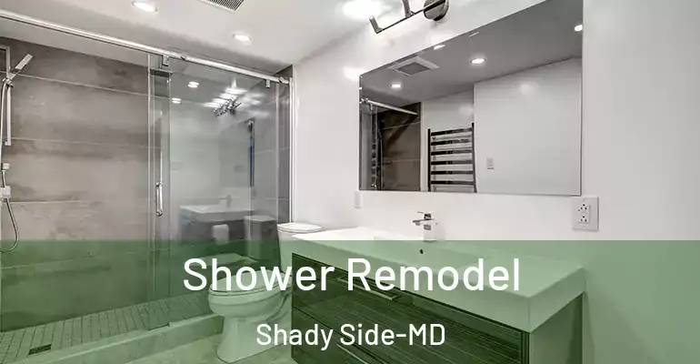 inner Bathroom imggen Shower Remodel Shady Side-MD