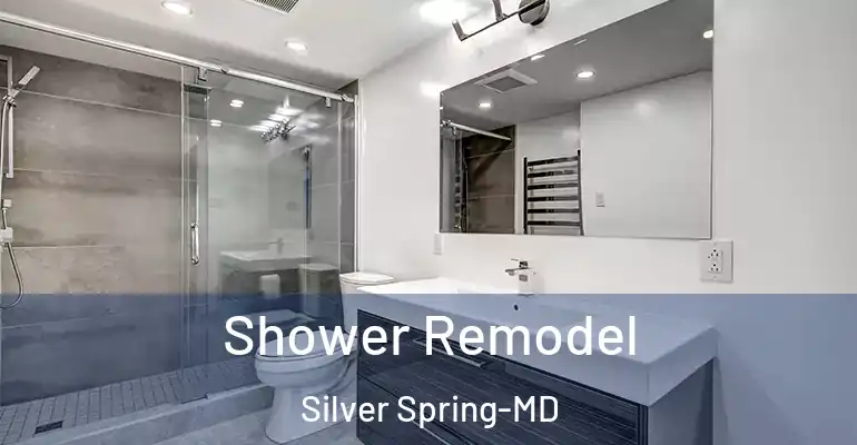 inner Bathroom imggen Shower Remodel Silver Spring-MD