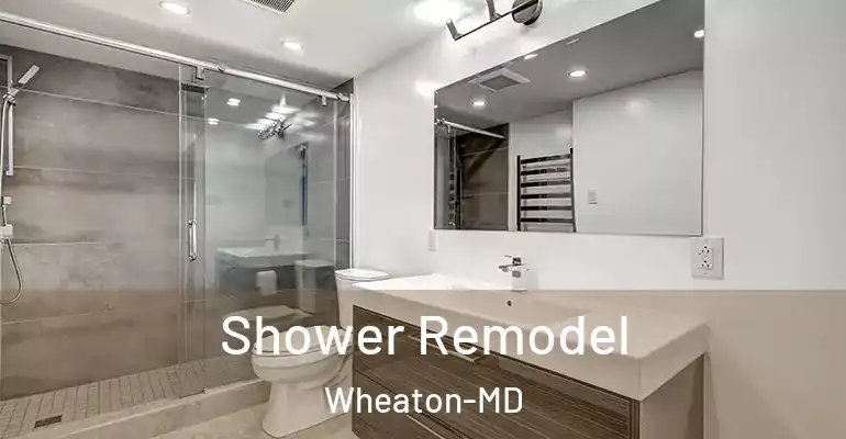inner Bathroom imggen Shower Remodel Wheaton-MD