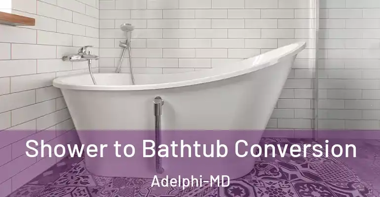 inner Bathroom imggen Shower to Bathtub Conversion Adelphi-MD