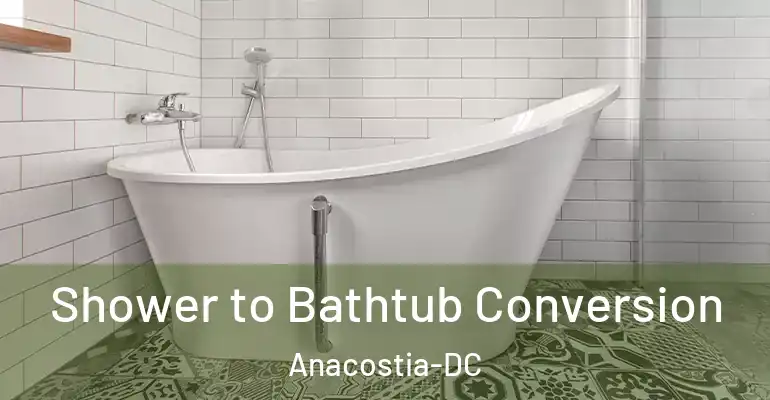 inner Bathroom imggen Shower to Bathtub Conversion Anacostia-DC